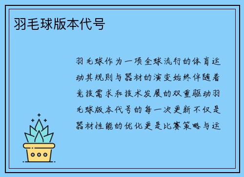 羽毛球版本代号