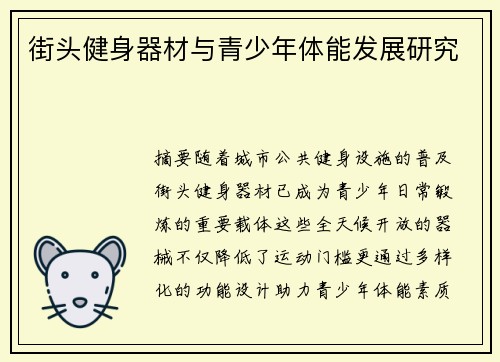 街头健身器材与青少年体能发展研究